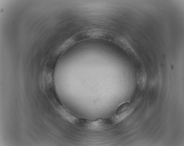 X0000064040382200601301155