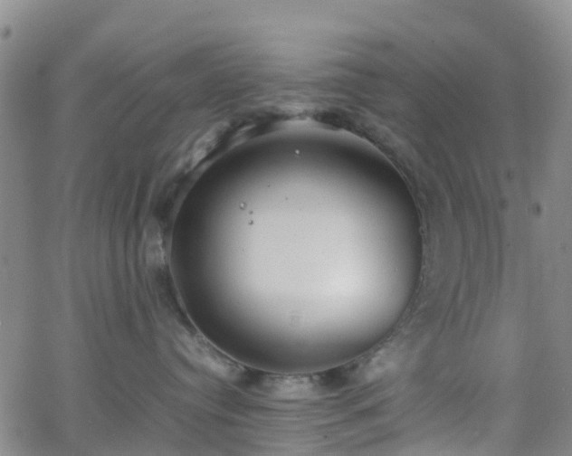 X0000064040384200601301155