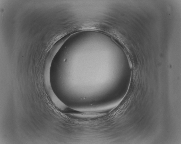 X0000064040385200601301154