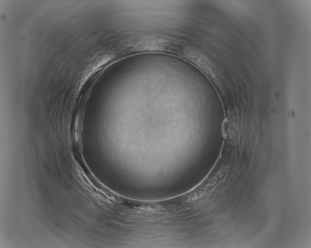 X0000064040386200601301154