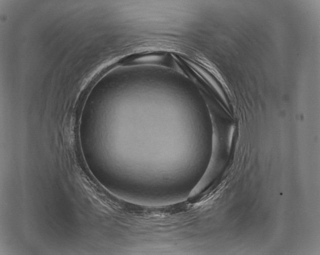 X0000064040387200601301154