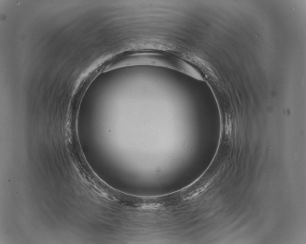 X0000064040388200601301154