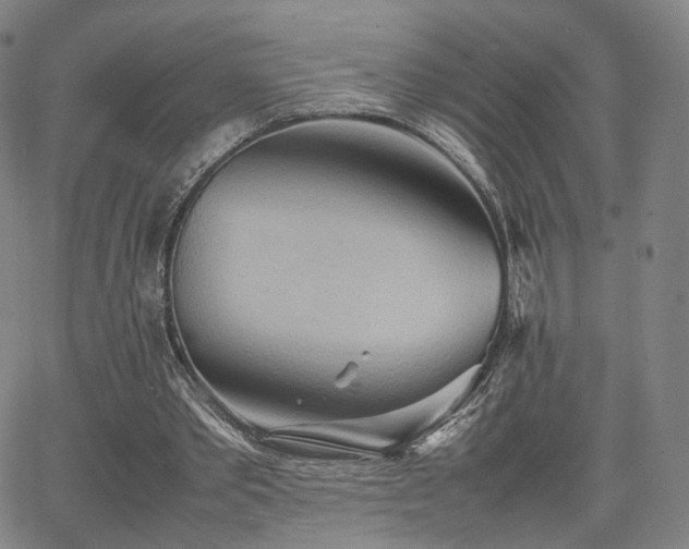 X0000064040389200601301154