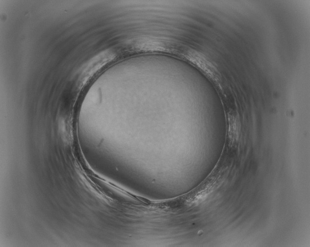 X0000064040390200601301154