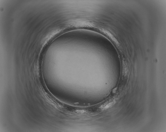 X0000064040391200601301154