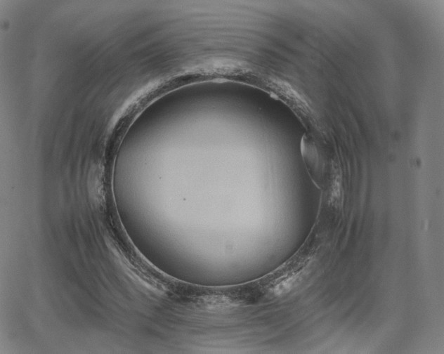 X0000064040392200601301154