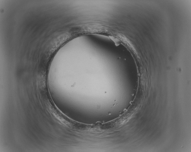 X0000064040393200601301154