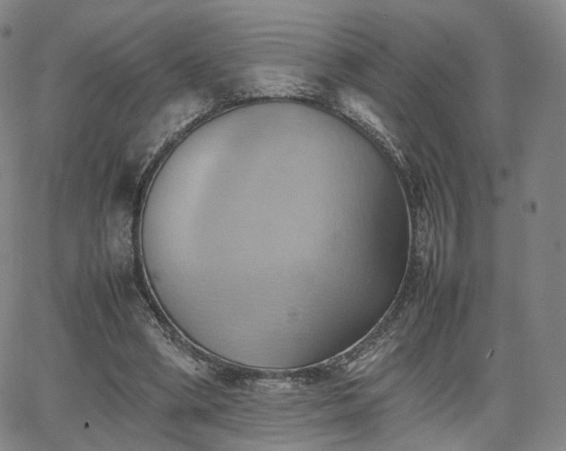 X0000064040394200601301154