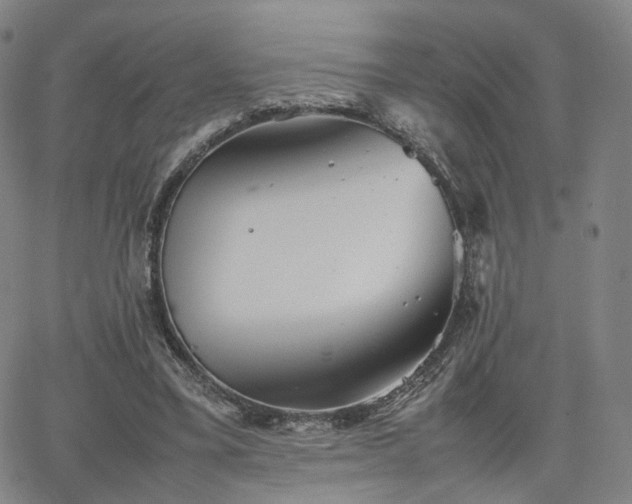 X0000064040395200601301154