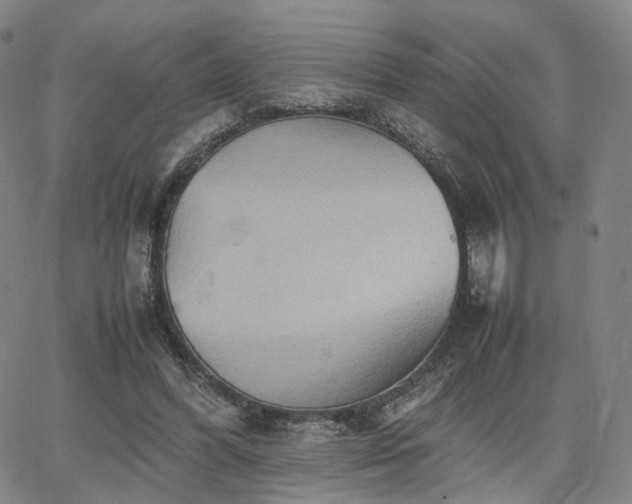 X0000064040396200601301154