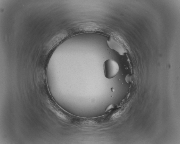 X0000064040397200601301154