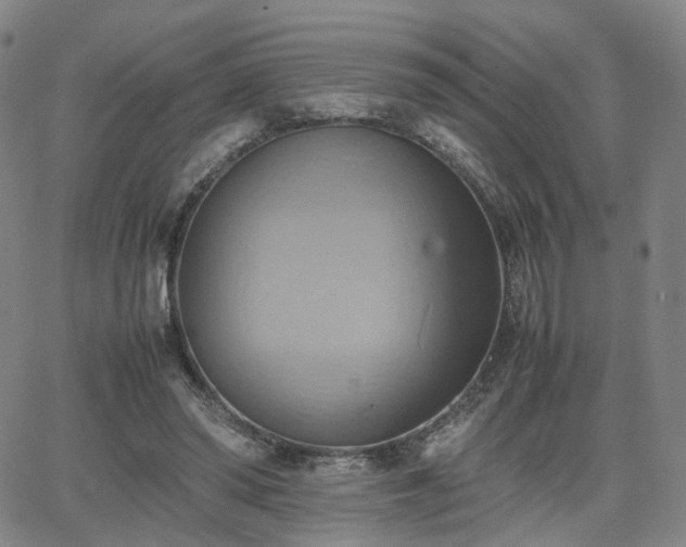 X0000064040398200601301154