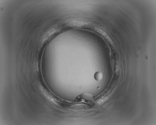 X0000064040399200601301154