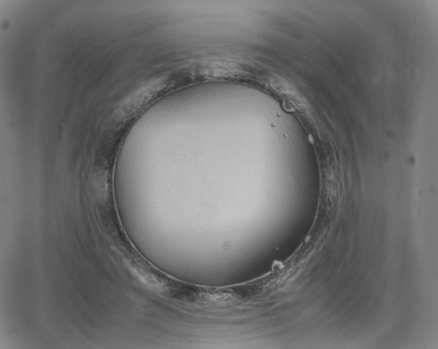 X0000064040401200601301154