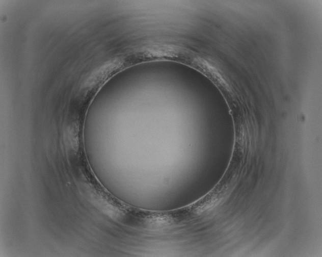 X0000064040402200601301154