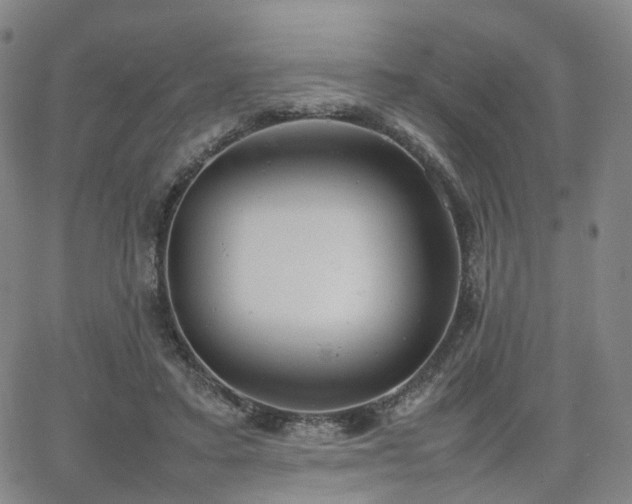 X0000064040403200601301154