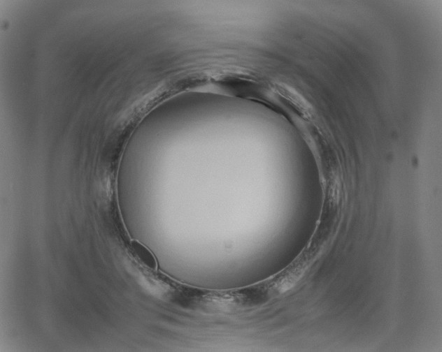 X0000064040405200601301153