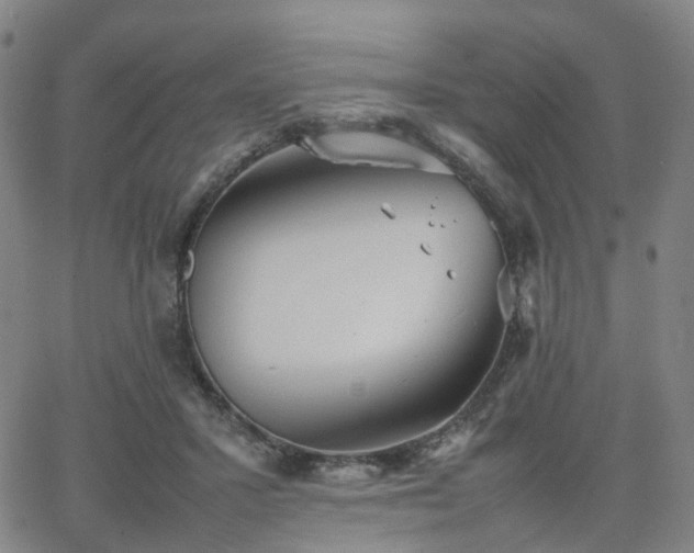 X0000064040407200601301153