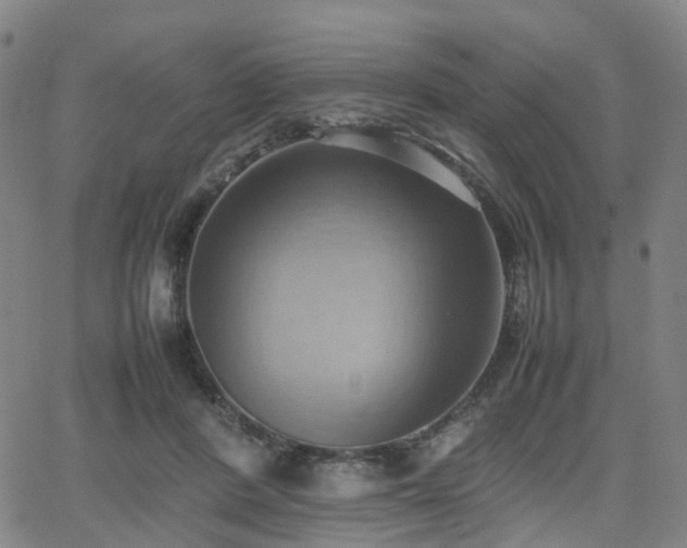 X0000064040408200601301153