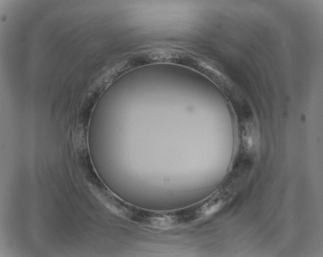 X0000064040411200601301153