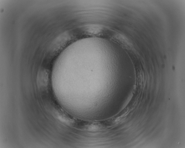 X0000064040412200601301153