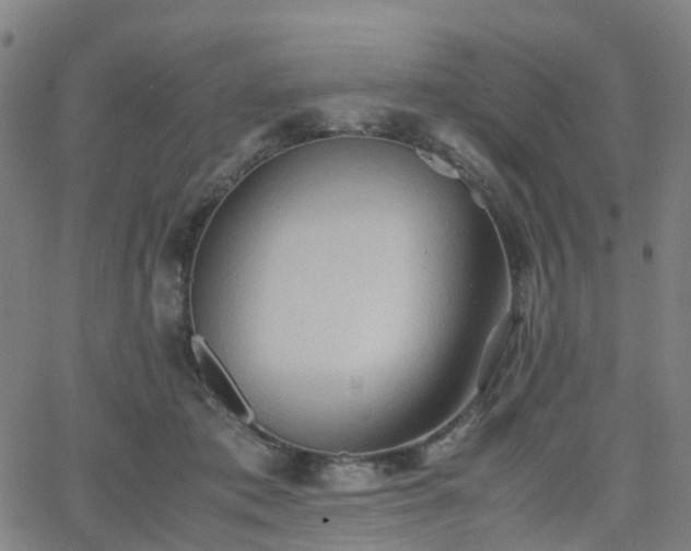 X0000064040413200601301153