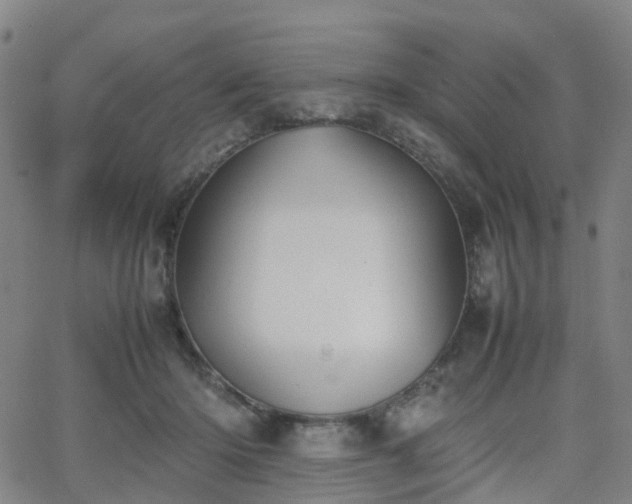 X0000064040414200601301153