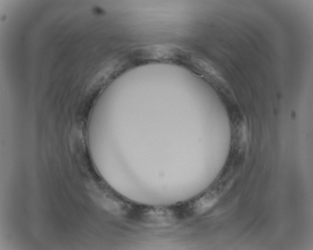 X0000064040415200601301153