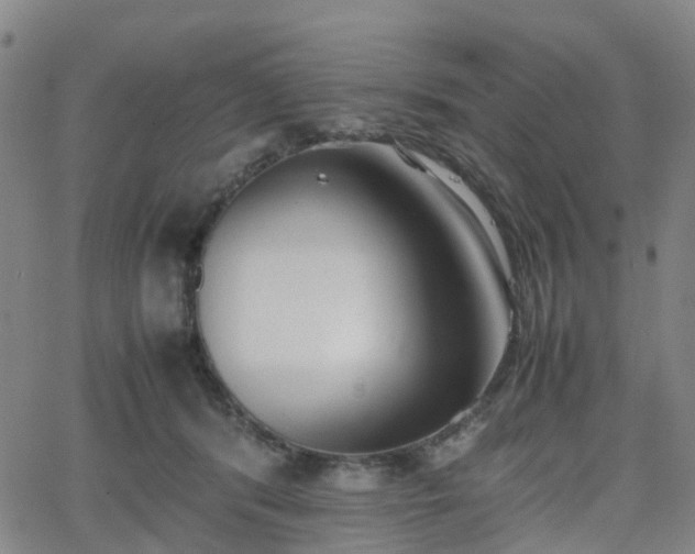 X0000064040416200601301153