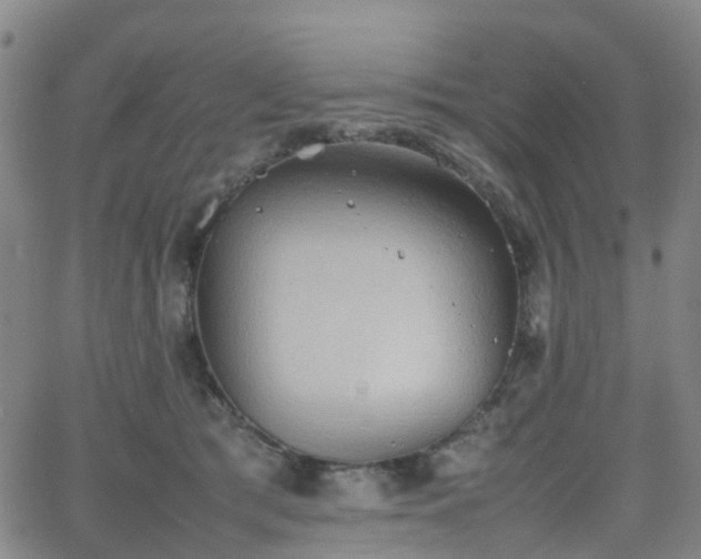 X0000064040417200601301153