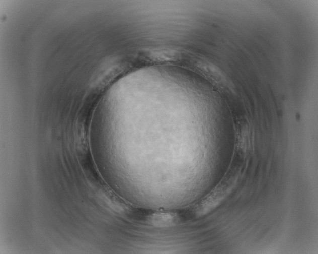 X0000064040418200601301153