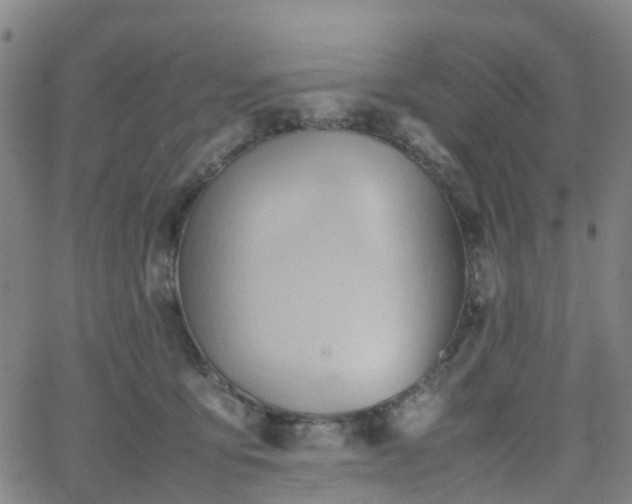 X0000064040419200601301153