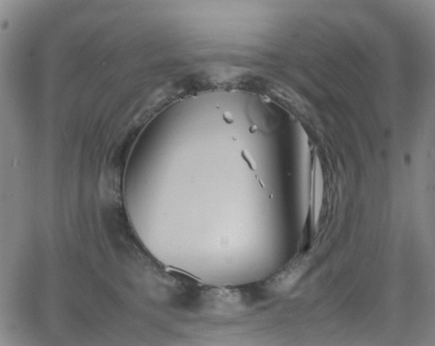 X0000064040421200601301153