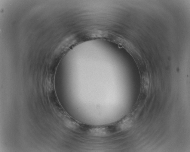 X0000064040422200601301153