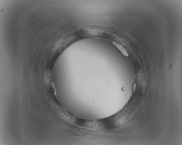 X0000064040423200601301153