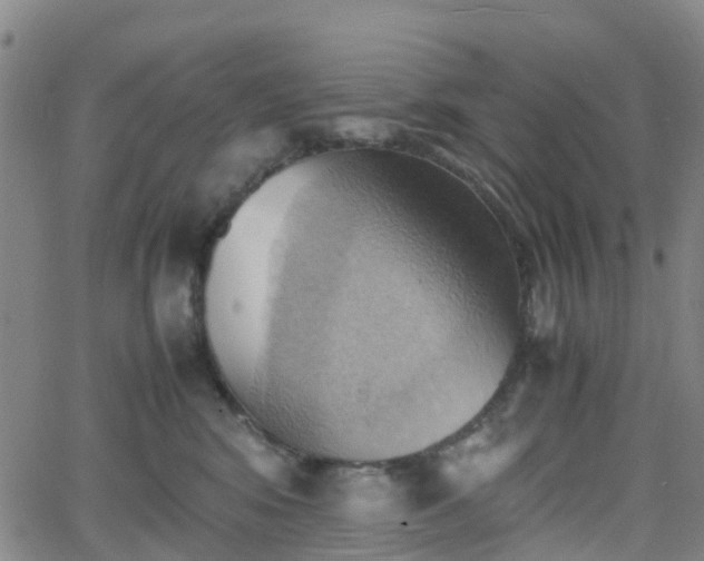 X0000064040424200601301153