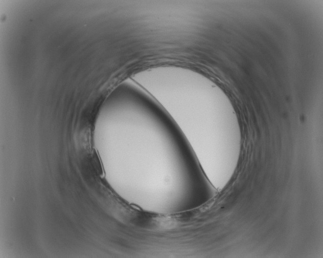 X0000064040425200601301153