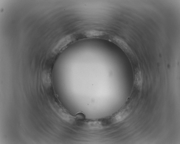 X0000064040426200601301153