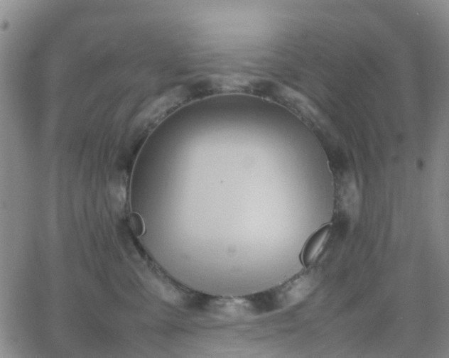 X0000064040427200601301153