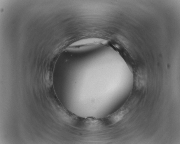 X0000064040428200601301153