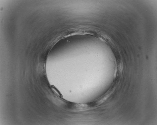 X0000064040429200601301153