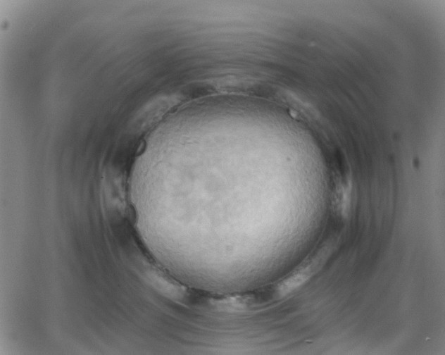 X0000064040430200601301153