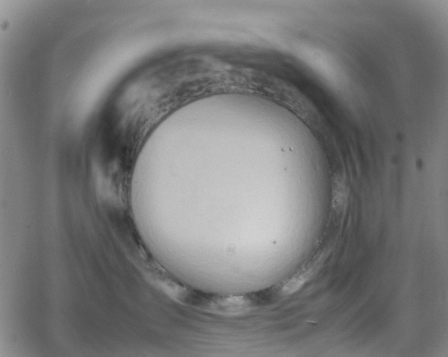 X0000064040431200601301153