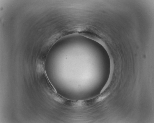 X0000064040432200601301153