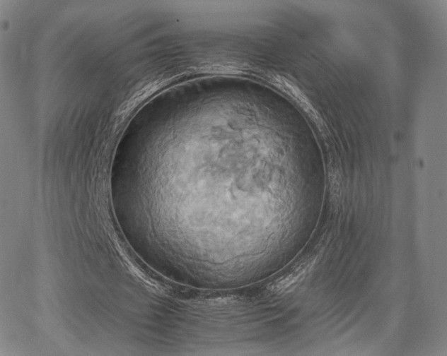 X0000064040433200601301152