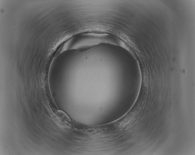 X0000064040434200601301152