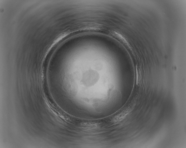 X0000064040435200601301152