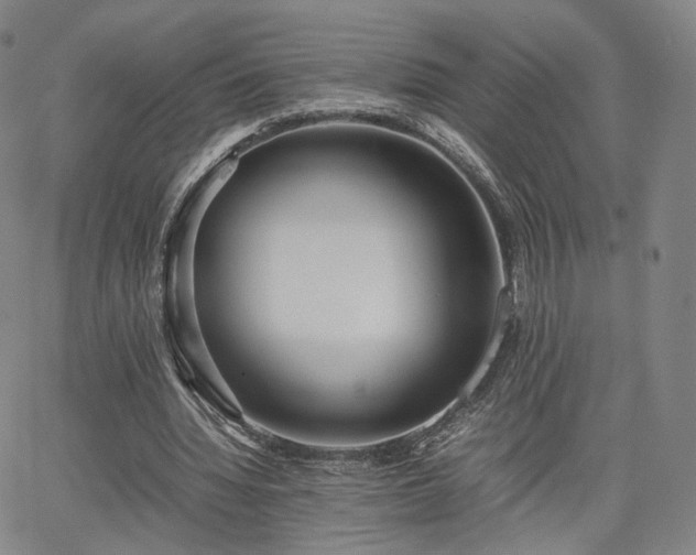 X0000064040436200601301152