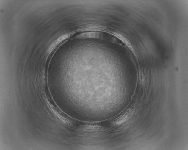 X0000064040437200601301152