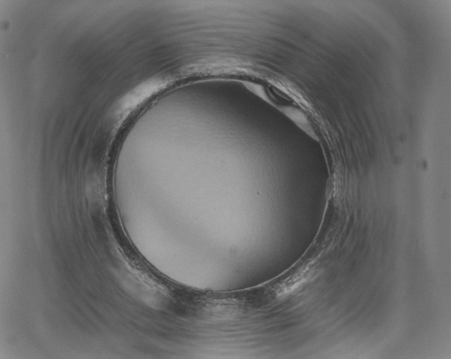 X0000064040438200601301152